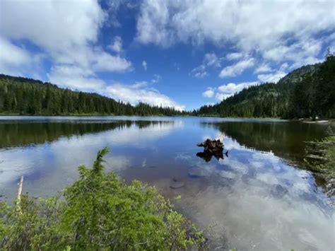 10 Best Snowshoeing Trails in Mount Rainier National Park | AllTrails