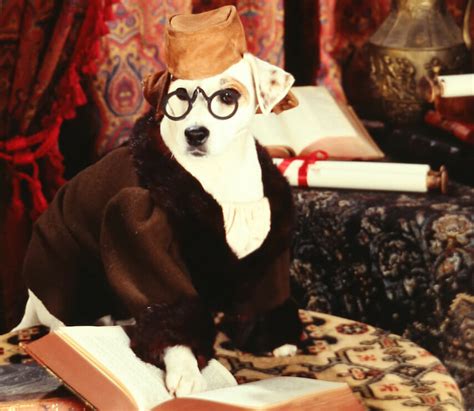 Wishbone’s Original Creators on the TV Show’s Legacy and Uncertain Future