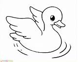 Bebek Mewarnai Pato Colorir Putih Lucu Malvorlagen Desenhos Dlrg Hewan  sketch template