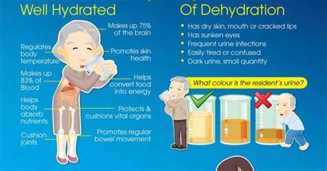 Prevent dehydration in older adults | Older Adults♥ | Pinterest | Drinking alkaline water ...