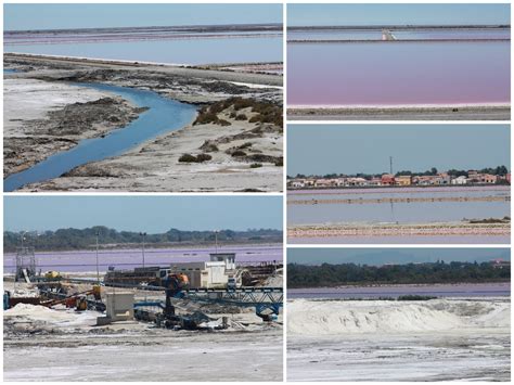 Living on the other side of the planet with my three boys: Salt marshes in Camargue