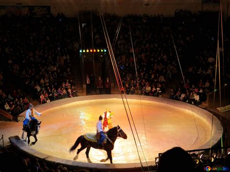 Circus horses free image - № 15789