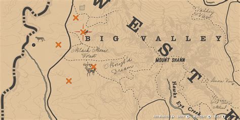 Red Dead Redemption 2: All Lady Slipper Orchid Locations