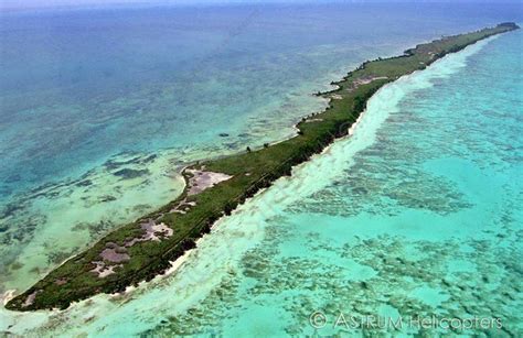 Leonardo's DiCaprio's Island Eco-Resort in Belize Passes Environmental ...