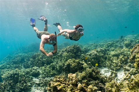 Captain Cook Snorkeling Tour in Kealakekua Bay - Gallery