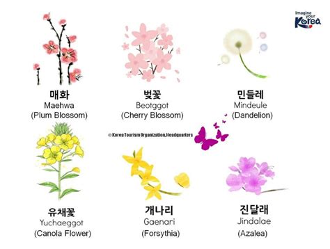 Flowers Names And Pictures / List Of Plant And Flower Names In English With Pictures 7esl : The ...