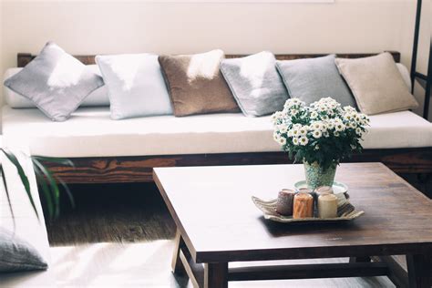 Futon vs Sofa Bed: Key Differences & How To Choose | Home of Cozy