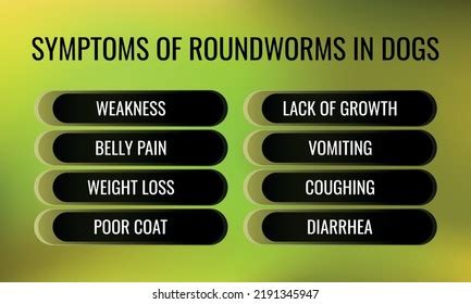 Symptoms Roundworms Dogs Vector Illustration Medical Stock Vector (Royalty Free) 2191345947 ...