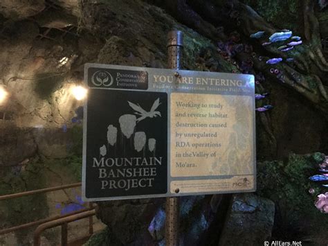 Avatar Flight of Passage in Pandora the World of Avatar at Disney's Animal Kingdom - Photo Gallery