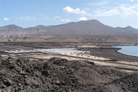 155 Spain Canary Islands Lanzarote Sea Salt Production Stock Photos - Free & Royalty-Free Stock ...