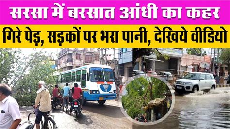 Weather Updates | SIRSA में बरसात, आंधी का कहर, गिरे पेड़, सड़कों पर ...