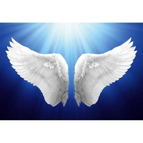 Buy Haoyiyi 5x3ft Angel Wings Backdrop Flying White Angel Wings ...