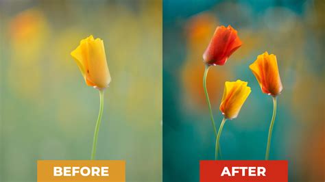 Before & After Photoshop: How I did the edit step by step ...