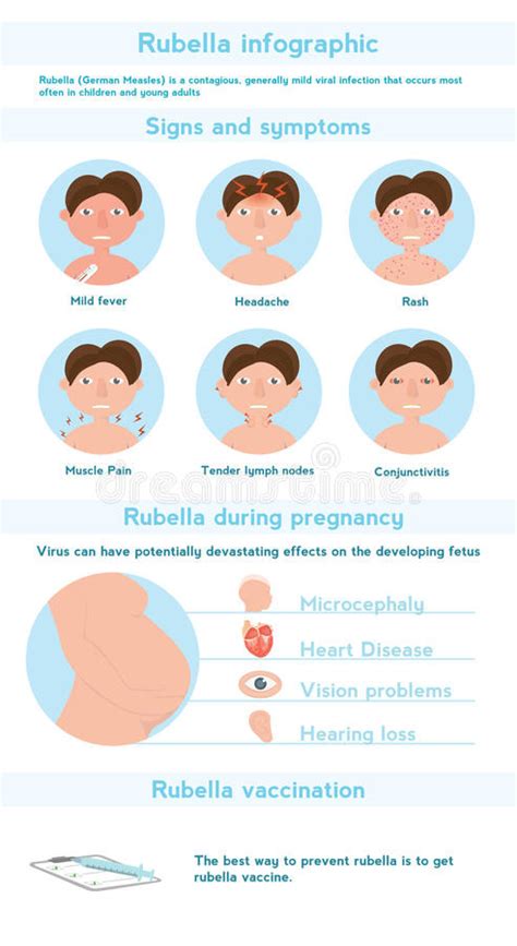 Rubella Rash Adult