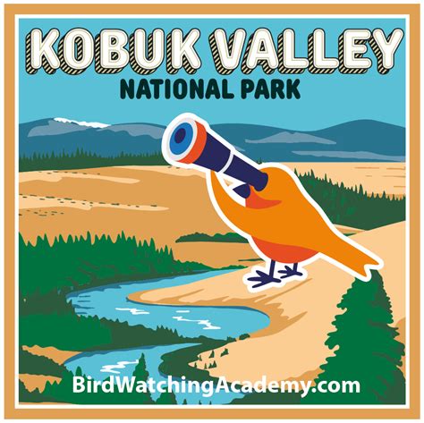 Bird Watching at Kobuk Valley National Park - Bird Watching Academy