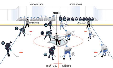 A Kraken fan’s visual guide to hockey and the NHL