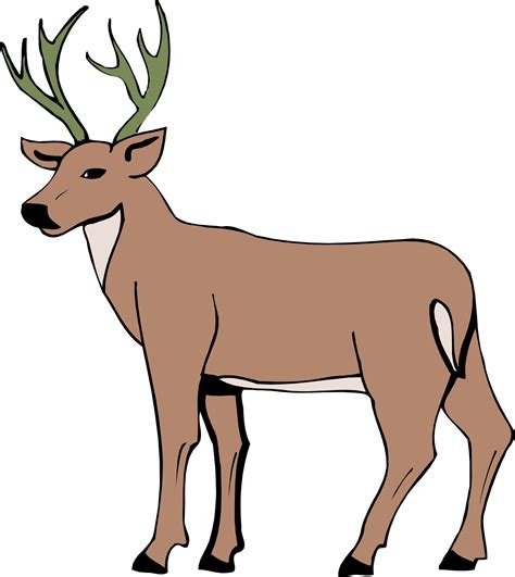 Deer Drawing Cartoon at GetDrawings | Free download