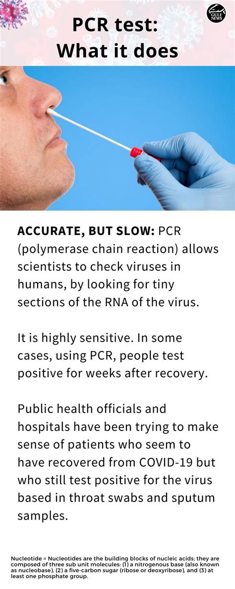 About Pcr Covid Test - IMAGESEE