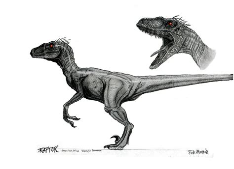 Image - Velociraptor macho.jpg - Park Pedia - Jurassic Park, Dinosaurs, Stephen Spielberg