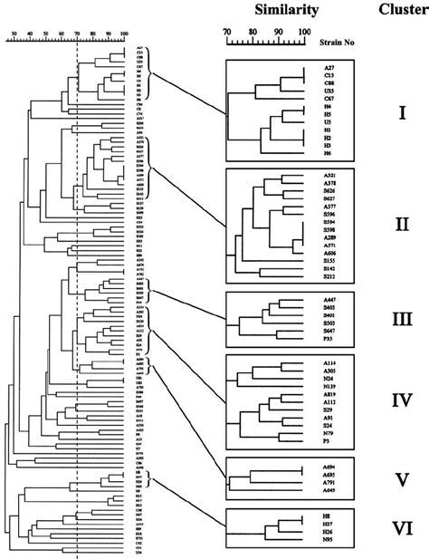 PFGE patterns of 91 nares-colonizing MRSA isolates and 17 clinical MRSA... | Download Scientific ...