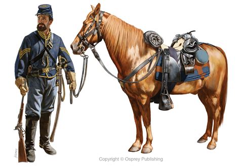 Pin by Gary Miller on История | Civil war artwork, Civil war art, Civil war history