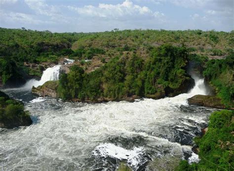 Parque Nacional de Kibale Top Tours and Tips | experitour.com