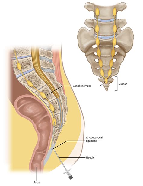 What is Ganglion Impar and where is it situated?