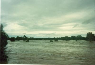 Flinders River in flood, Hughenden, 1980s/1990s?; Unidentified; 2011-317 | eHive