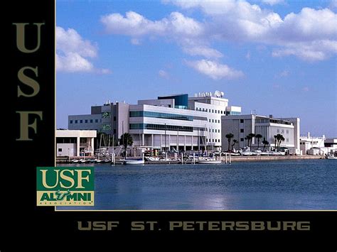 USF Alumni HD wallpaper | Pxfuel