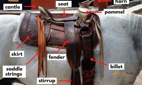 Western Saddle Accessories | Horse Saddle Shop