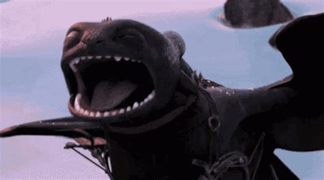 Toothless How To Train Your Dragon GIF - Toothless HowToTrainYourDragon HTTYD - Discover & Share ...