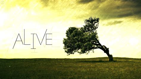 Alive Wallpapers - Wallpaper Cave