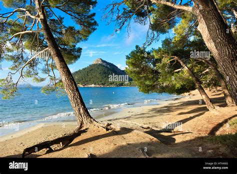 Formentor beach, Mallorca, Spain Stock Photo - Alamy