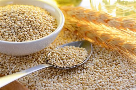 Millet Vs Quinoa: The Key Differences - Common Grains