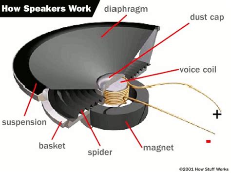 [DIAGRAM] Car Speaker Diagram - MYDIAGRAM.ONLINE