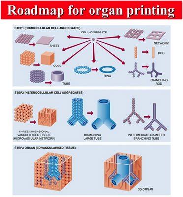 Organ Printing Pondered