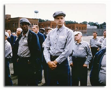 (SS3421171) Movie picture of The Shawshank Redemption buy celebrity ...