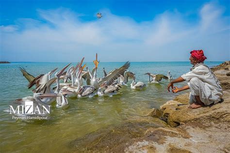 Iran Tourism: Beautiful Beach Of Pozm Bay In Sistan And Baluchestan - Iran Front Page