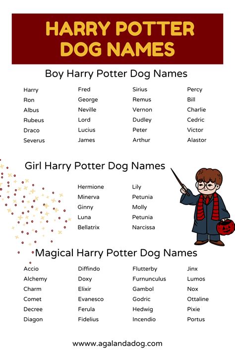 Harry Potter Dog Names Full Of Hogwarts Magic | Harry potter dog names, Harry potter dog, Dog names