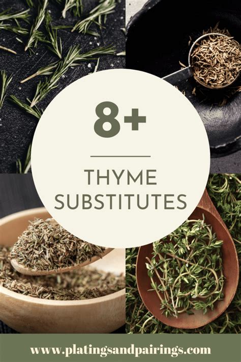 The BEST Substitute for Thyme (8+ Swap in Ideas) - Platings + Pairings