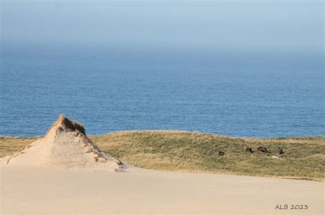 A Victory for Sable Island! - Small Change Fund