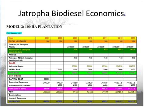 Production of biodiesel from jatropha plant