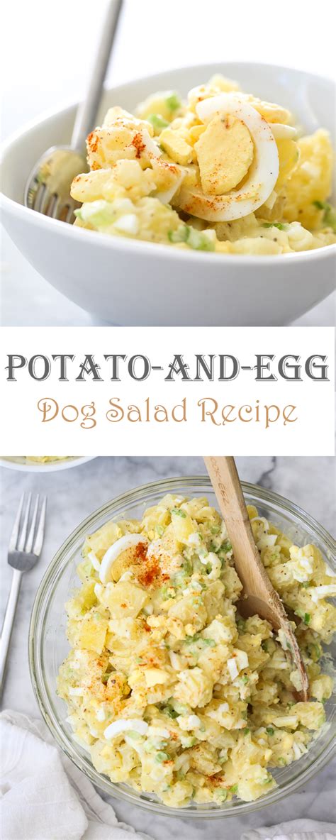 10 Low-Protein Dog Recipes [2019 Updated] - Easy and Tasty Formulas ...