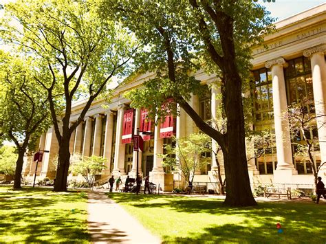 Download Trees Around Harvard University Law School Wallpaper | Wallpapers.com