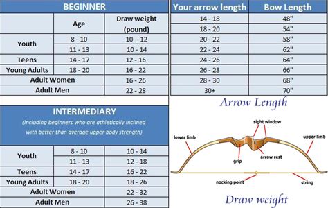 bow length draw weight in recurve bow | Recurve bow, Best recurve bow, Bows