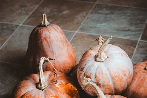 Download Rustic Fall Pumpkins On The Floor Wallpaper | Wallpapers.com