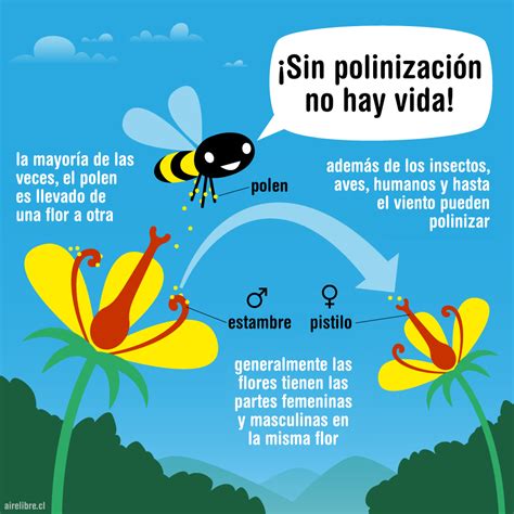 sin-polinizacion-no-hay-vida-importancia-de-las-abejas - Aire Libre