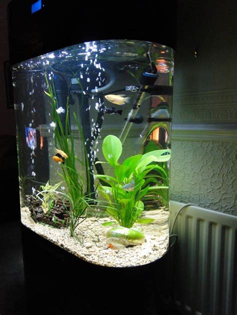 Column Aquarium Acrylic Fish Tank Oval Shaped 230L New | eBay