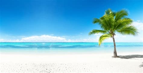 5,831,038 Beach View Royalty-Free Images, Stock Photos & Pictures ...