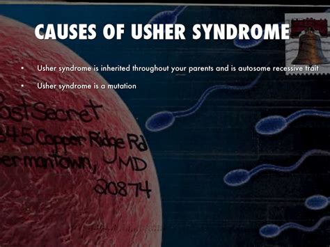 Usher Syndrome Type 2